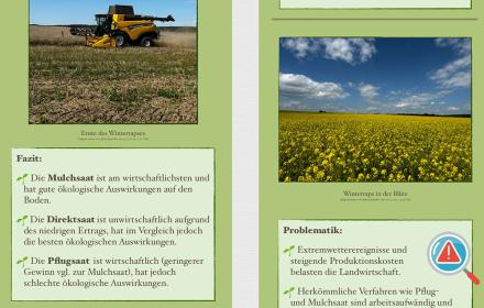 Im Rahmen einer Seminarfacharbeit ist dieses Projekt entstanden.